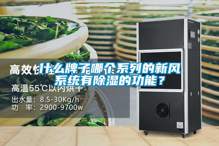 什么牌子哪個系列的新風系統有除濕的功能?