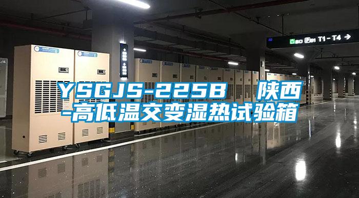 YSGJS-225B 陜西-高低溫交變濕熱試驗箱
