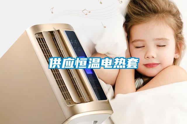 供應恒溫電熱套