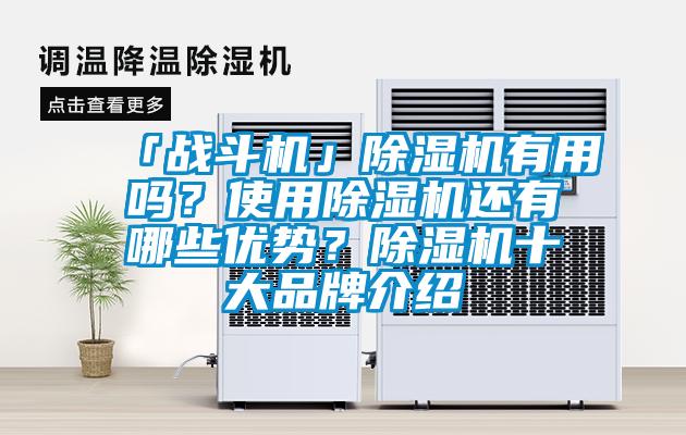 「戰(zhàn)斗機」除濕機有用嗎?使用除濕機還有哪些優(yōu)勢?除濕機十大品牌介紹