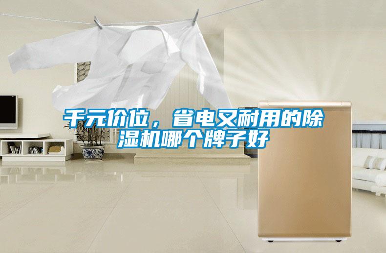 千元價位，省電又耐用的除濕機哪個牌子好
