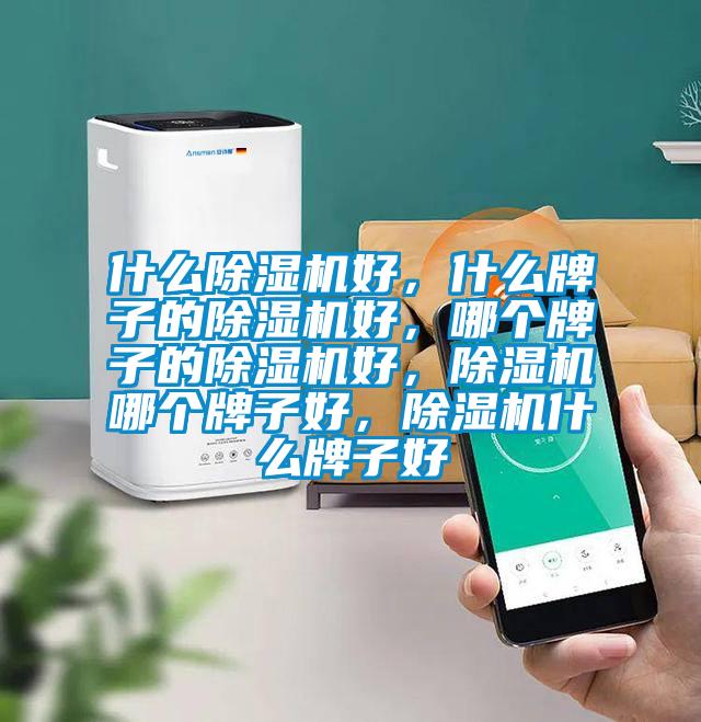 什么除濕機好，什么牌子的除濕機好，哪個牌子的除濕機好，除濕機哪個牌子好，除濕機什么牌子好