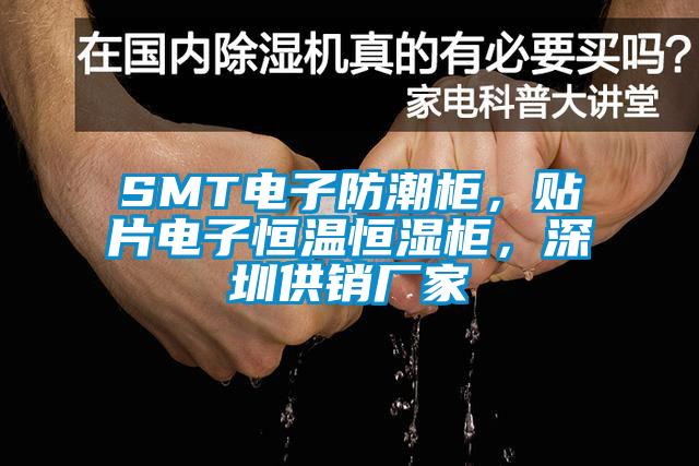 SMT電子防潮柜，貼片電子恒溫恒濕柜，深圳供銷廠家