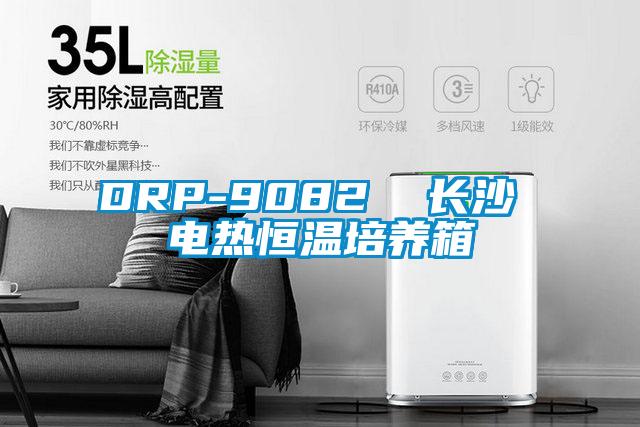 DRP-9082 長沙 電熱恒溫培養箱