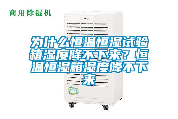 為什么恒溫恒濕試驗箱濕度降不下來？恒溫恒濕箱濕度降不下來