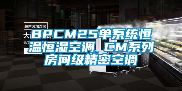 BPCM25單系統恒溫恒濕空調 CM系列房間級精密空調