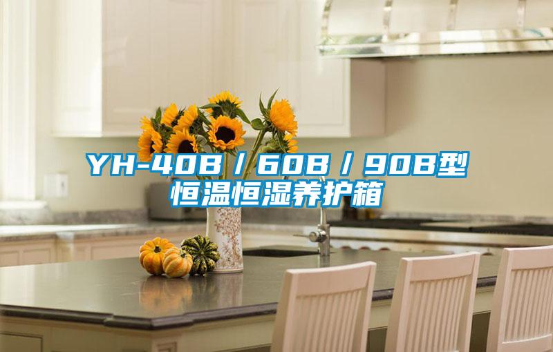 YH-40B/60B/90B型恒溫恒濕養護箱