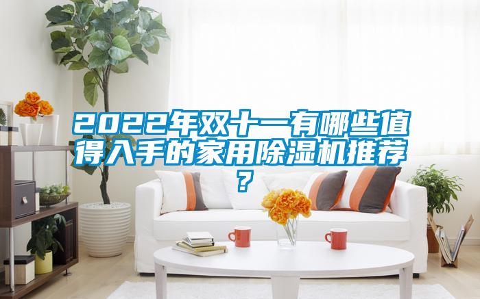 2022年雙十一有哪些值得入手的家用除濕機推薦?