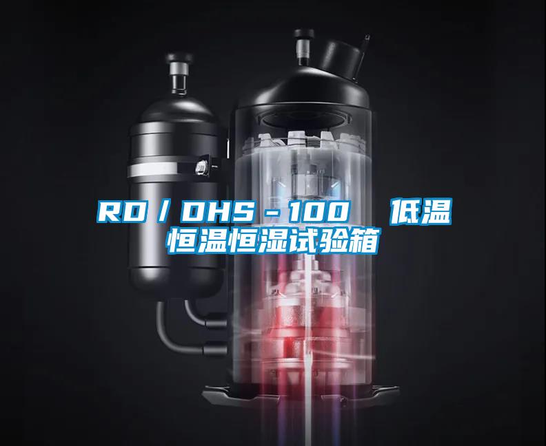 RD/DHS-100 低溫恒溫恒濕試驗(yàn)箱