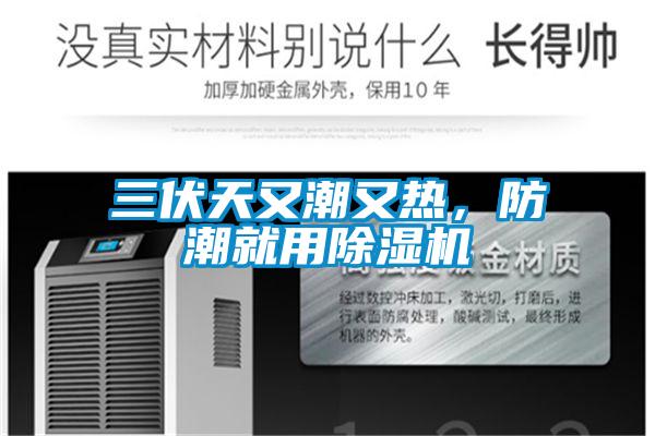三伏天又潮又熱,防潮就用除濕機(jī)