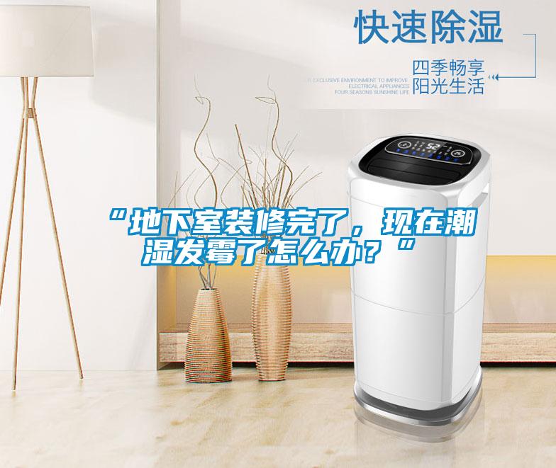 “地下室裝修完了，現在潮濕發霉了怎么辦？”