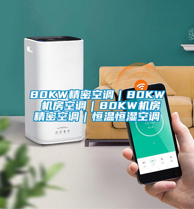 80KW精密空調|80KW 機房空調|80KW機房精密空調|恒溫恒濕空調