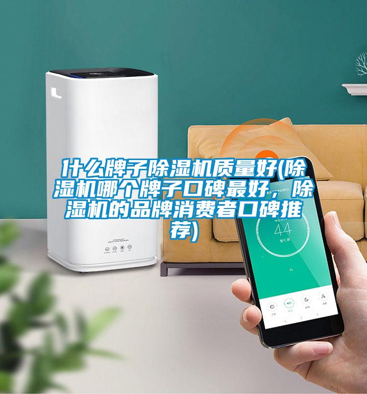 什么牌子除濕機質量好(除濕機哪個牌子口碑最好，除濕機的品牌消費者口碑推薦)