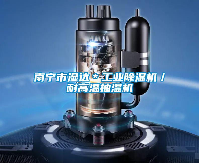 南寧市濕達＊工業除濕機／耐高溫抽濕機