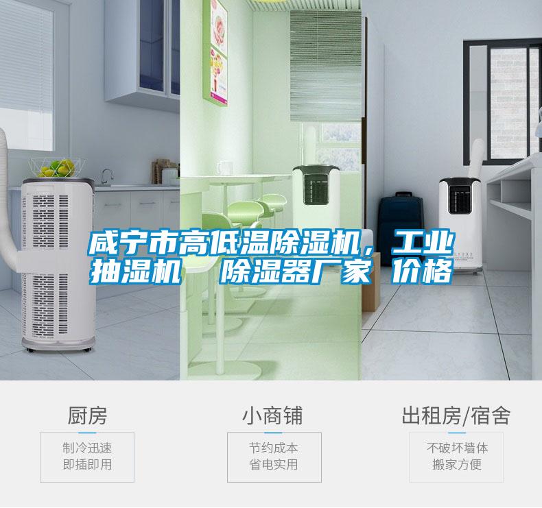 咸寧市高低溫除濕機(jī)，工業(yè)抽濕機(jī)  除濕器廠家 價(jià)格