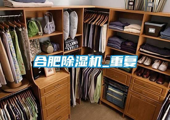 合肥除濕機_重復