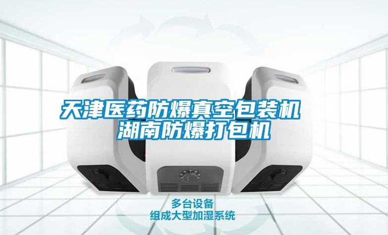 天津醫藥防爆真空包裝機  湖南防爆打包機