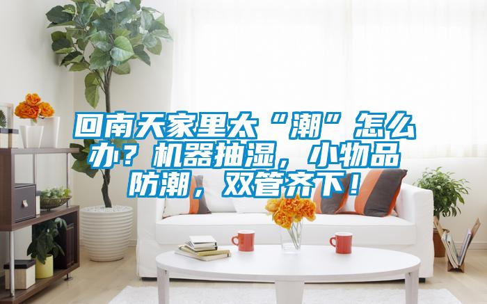 回南天家里太“潮”怎么辦？機器抽濕，小物品防潮，雙管齊下！