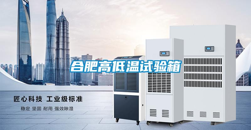 合肥高低溫試驗箱