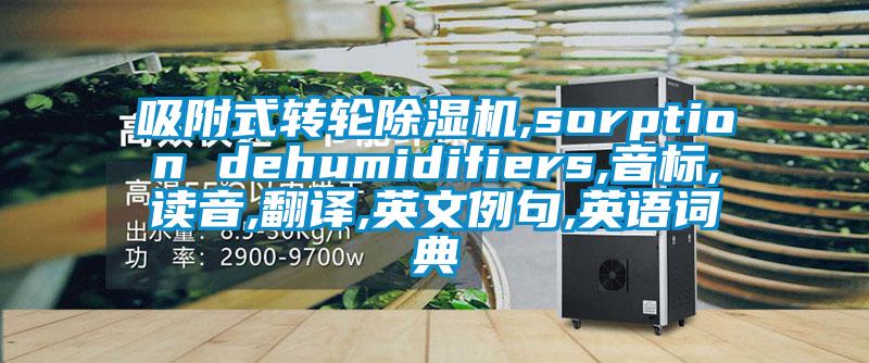 吸附式轉輪除濕機,sorption dehumidifiers,音標,讀音,翻譯,英文例句,英語詞典