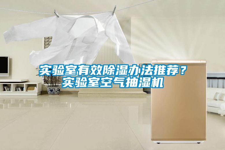 實驗室有效除濕辦法推薦？實驗室空氣抽濕機