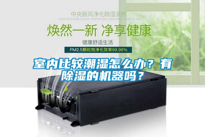 室內(nèi)比較潮濕怎么辦?有除濕的機(jī)器嗎?