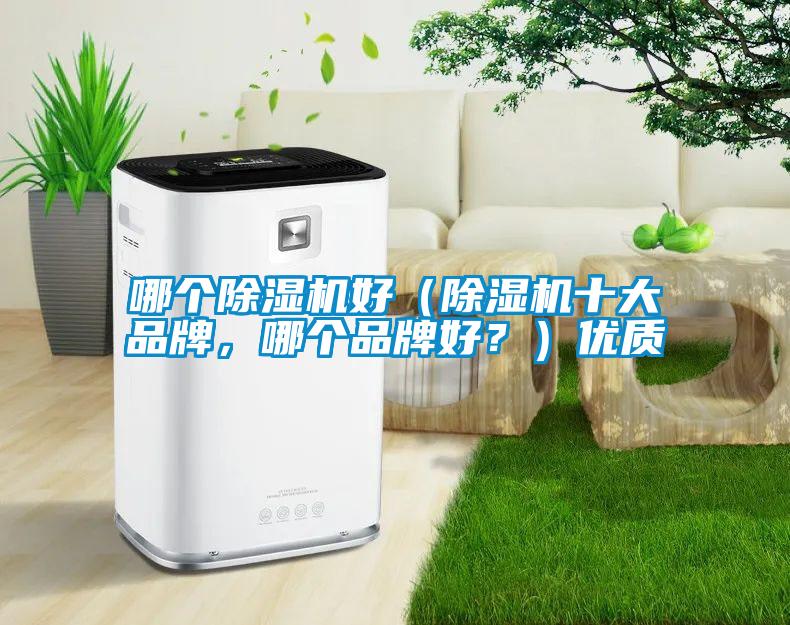 哪個除濕機好（除濕機十大品牌，哪個品牌好？）優質