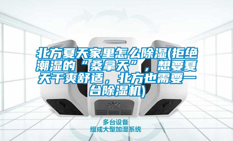 北方夏天家里怎么除濕(拒絕潮濕的“桑拿天”，想要夏天干爽舒適，北方也需要一臺(tái)除濕機(jī))