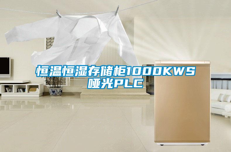 恒溫恒濕存儲柜1000KWS啞光PLC