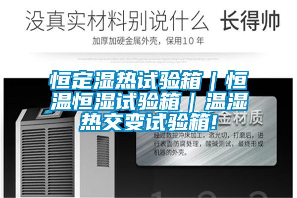 恒定濕熱試驗箱|恒溫恒濕試驗箱|溫濕熱交變試驗箱!