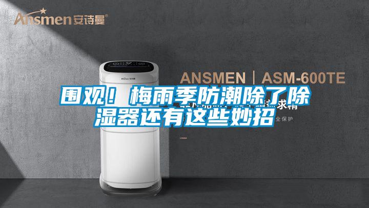 圍觀！梅雨季防潮除了除濕器還有這些妙招