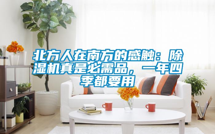 北方人在南方的感觸：除濕機真是必需品，一年四季都要用