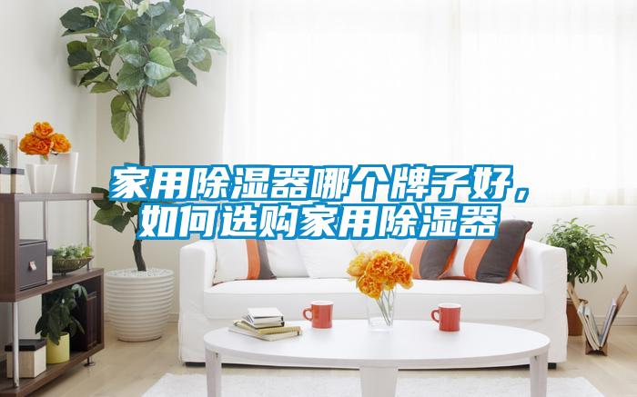 家用除濕器哪個牌子好，如何選購家用除濕器