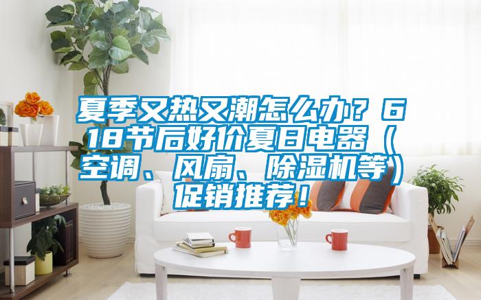 夏季又熱又潮怎么辦？618節(jié)后好價夏日電器（空調(diào)、風(fēng)扇、除濕機(jī)等）促銷推薦！