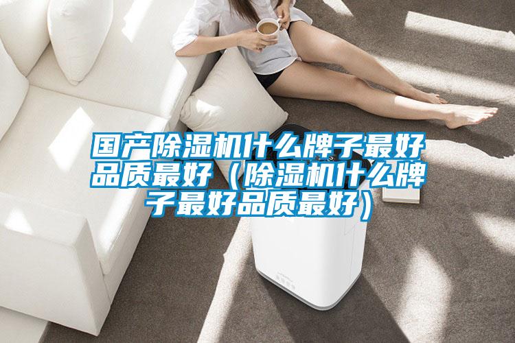 國產除濕機什么牌子最好品質最好（除濕機什么牌子最好品質最好）