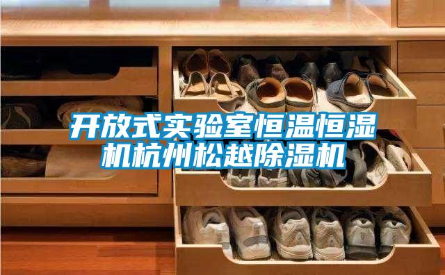 開放式實驗室恒溫恒濕機杭州松越除濕機