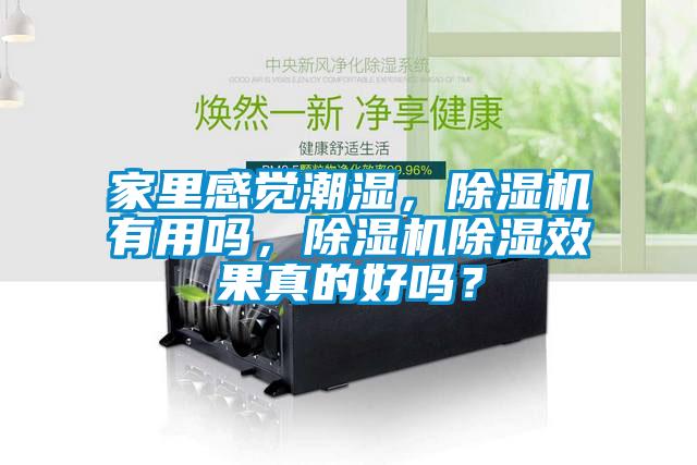 家里感覺潮濕，除濕機有用嗎，除濕機除濕效果真的好嗎？