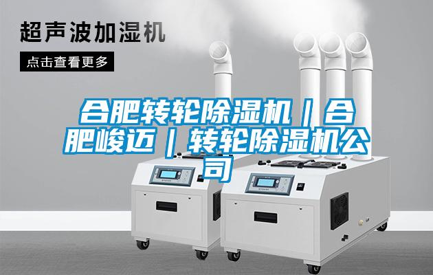 合肥轉(zhuǎn)輪除濕機(jī)|合肥峻邁|轉(zhuǎn)輪除濕機(jī)公司