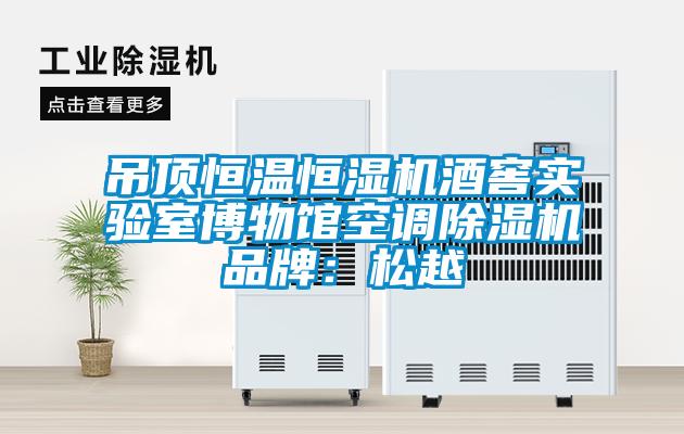 吊頂恒溫恒濕機酒窖實驗室博物館空調除濕機品牌:松越