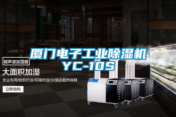 廈門電子工業除濕機YC-10S