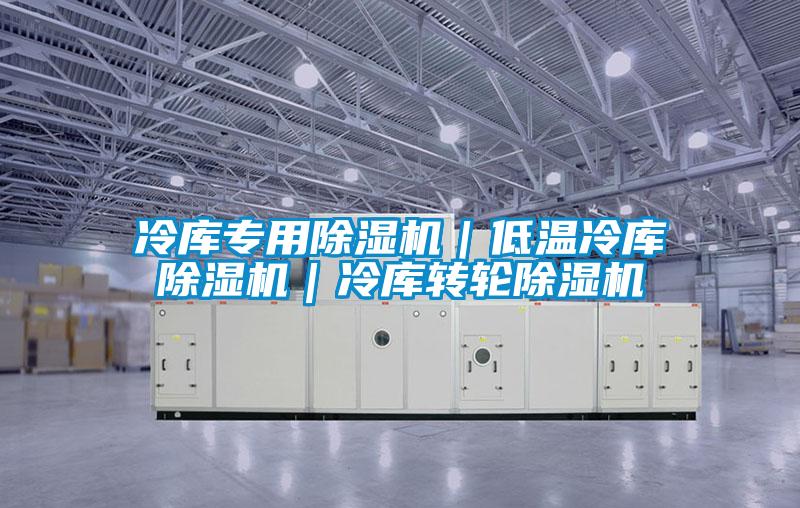 冷庫專用除濕機｜低溫冷庫除濕機｜冷庫轉輪除濕機