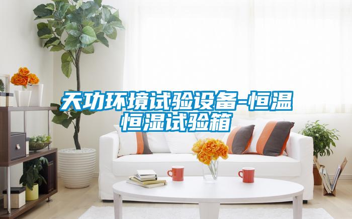 天功環(huán)境試驗(yàn)設(shè)備-恒溫恒濕試驗(yàn)箱