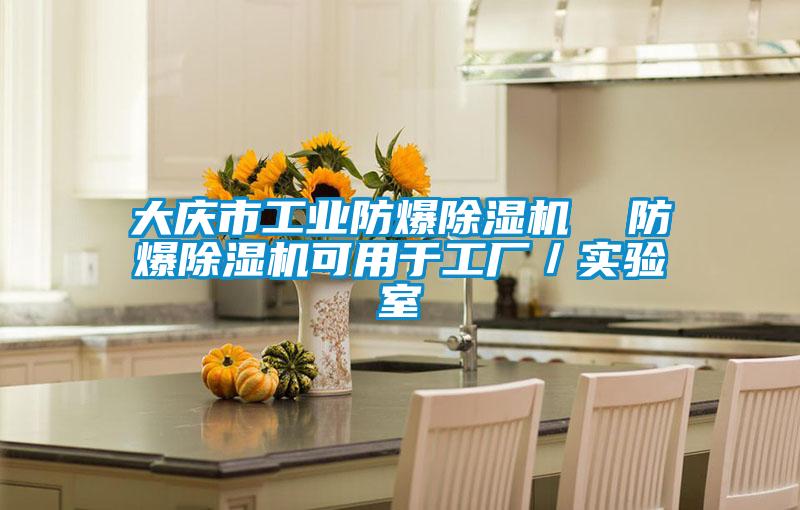 大慶市工業防爆除濕機  防爆除濕機可用于工廠／實驗室