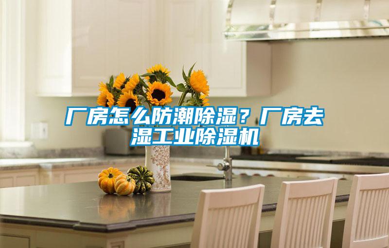 廠房怎么防潮除濕？廠房去濕工業除濕機
