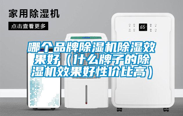 哪個品牌除濕機除濕效果好(什么牌子的除濕機效果好性價比高)