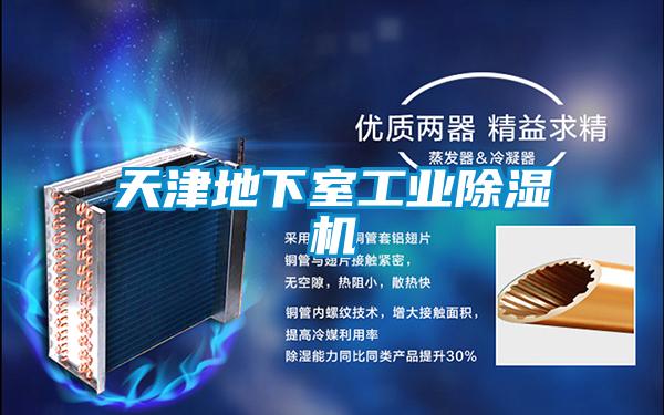 天津地下室工業除濕機