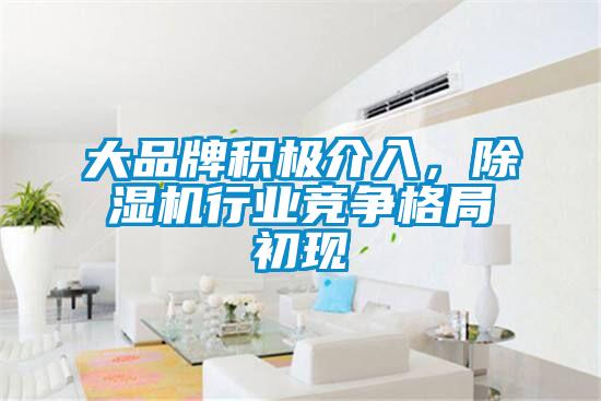 大品牌積極介入，除濕機行業競爭格局初現