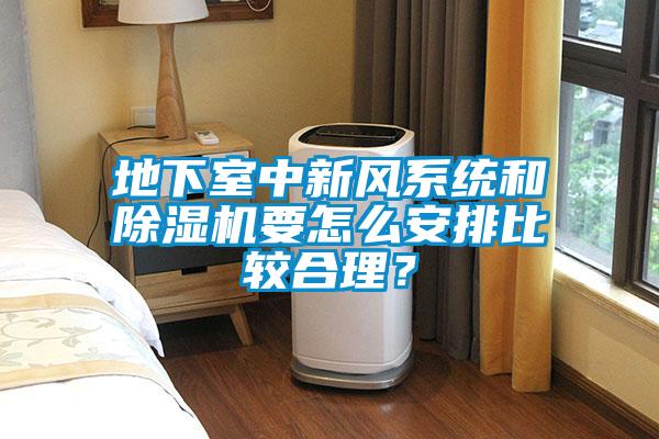 地下室中新風(fēng)系統(tǒng)和除濕機要怎么安排比較合理？