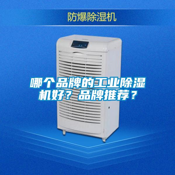 哪個品牌的工業(yè)除濕機(jī)好？品牌推薦？
