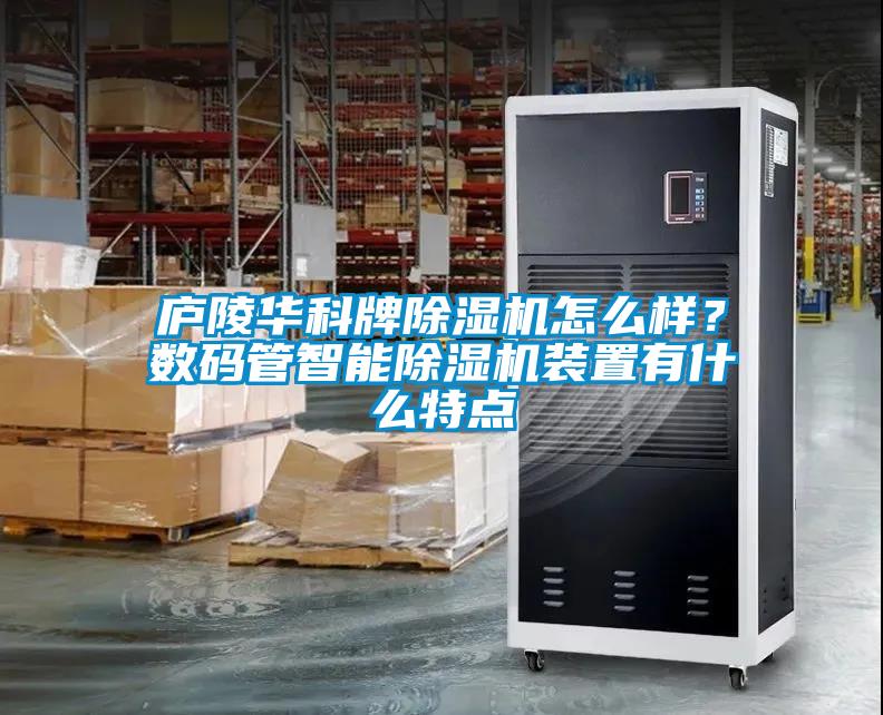 廬陵華科牌除濕機怎么樣？數碼管智能除濕機裝置有什么特點